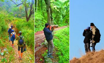 sattal_bird_photography