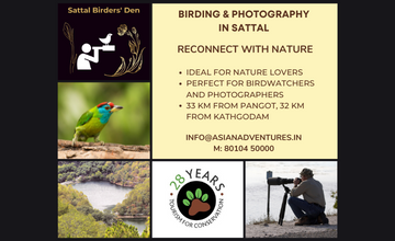 sattal_birding_tour