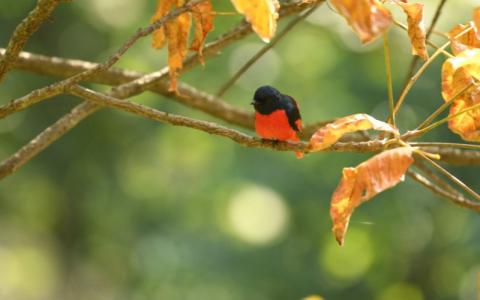 sattal photography tour